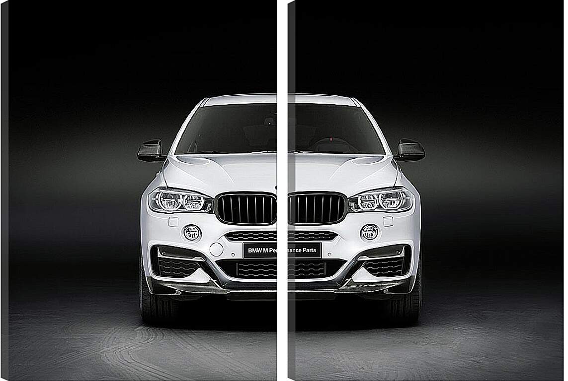 Модульная картина - BMW X6 белый