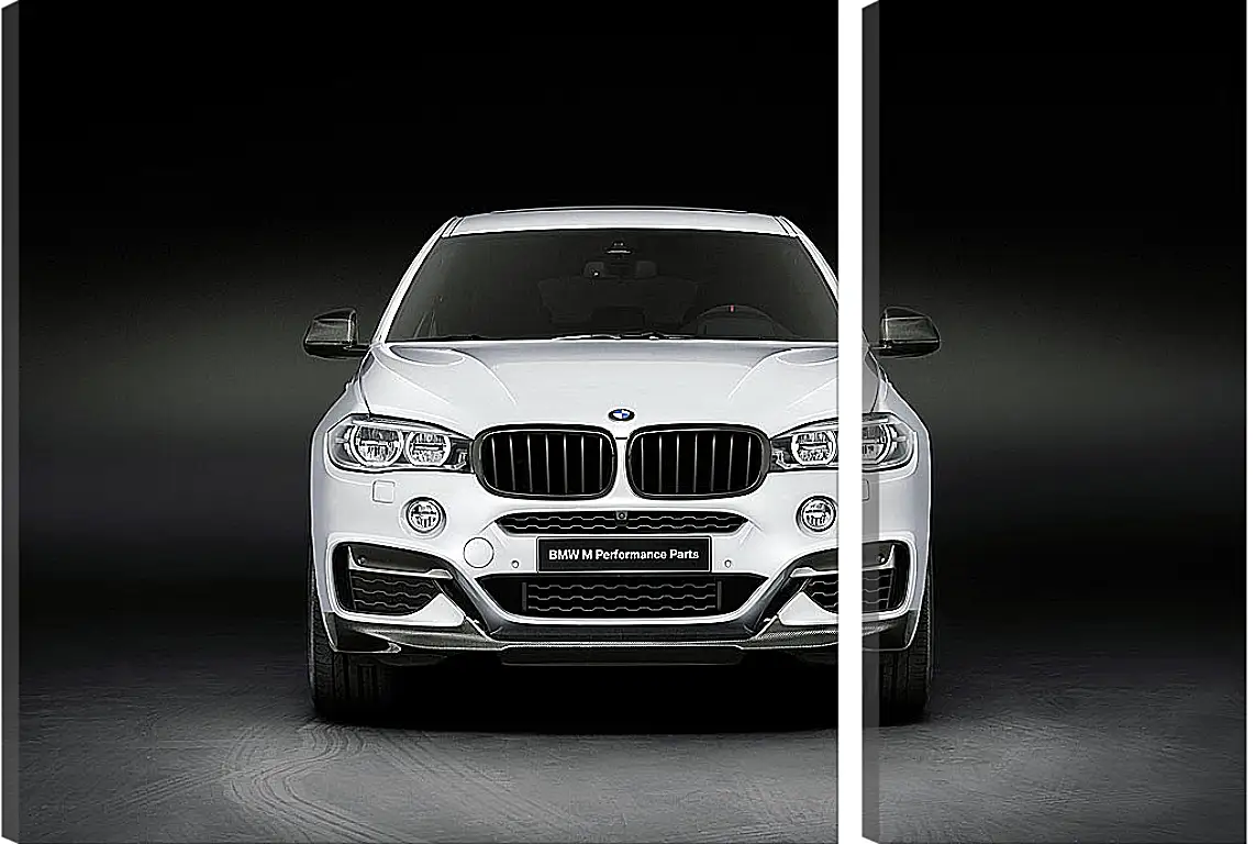 Модульная картина - BMW X6 белый