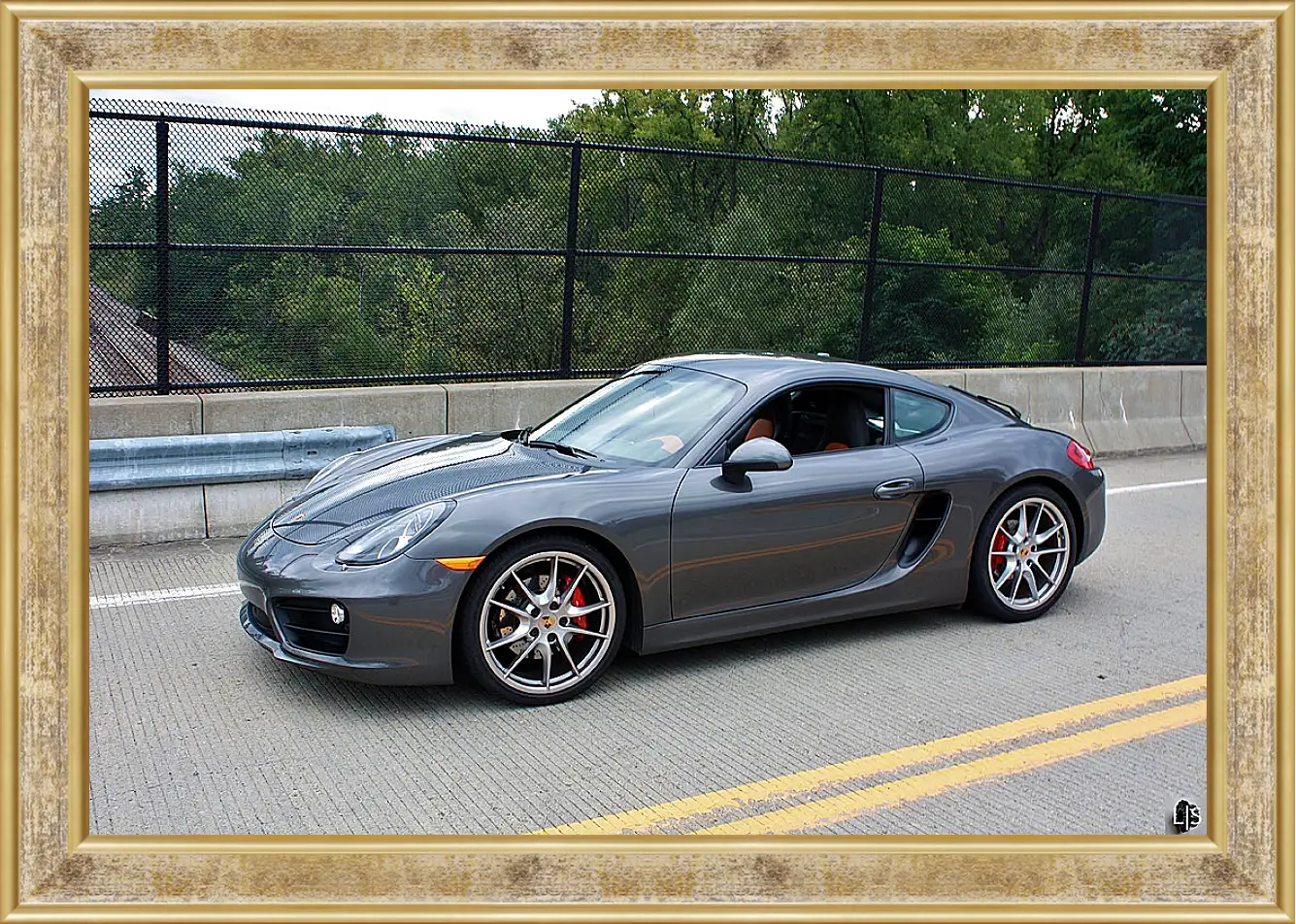 Картина в раме - Porshe