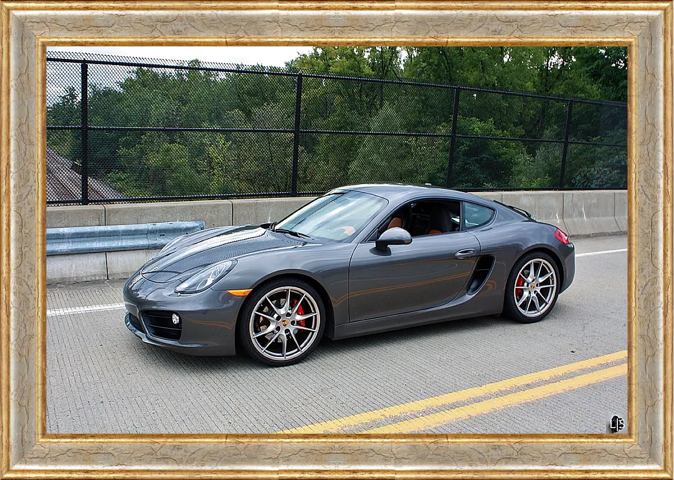 Картина в раме - Porshe