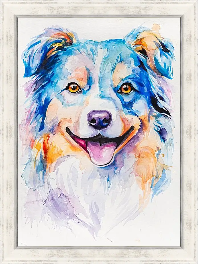 Картина в раме - Australian Shepherd. Mari Dein