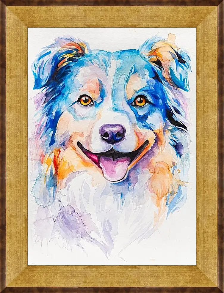 Картина в раме - Australian Shepherd. Mari Dein