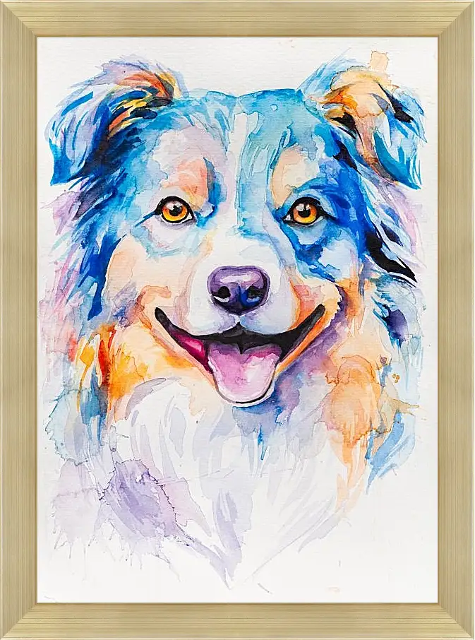 Картина в раме - Australian Shepherd. Mari Dein