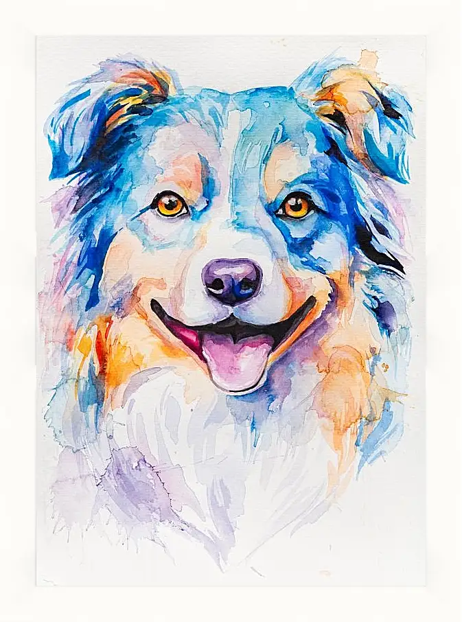 Картина в раме - Australian Shepherd. Mari Dein