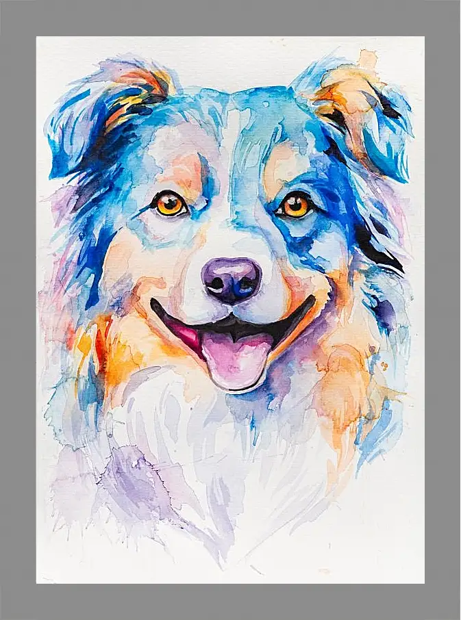 Картина в раме - Australian Shepherd. Mari Dein