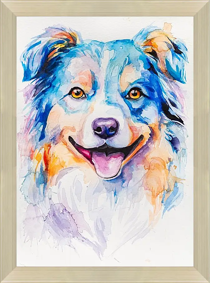 Картина в раме - Australian Shepherd. Mari Dein