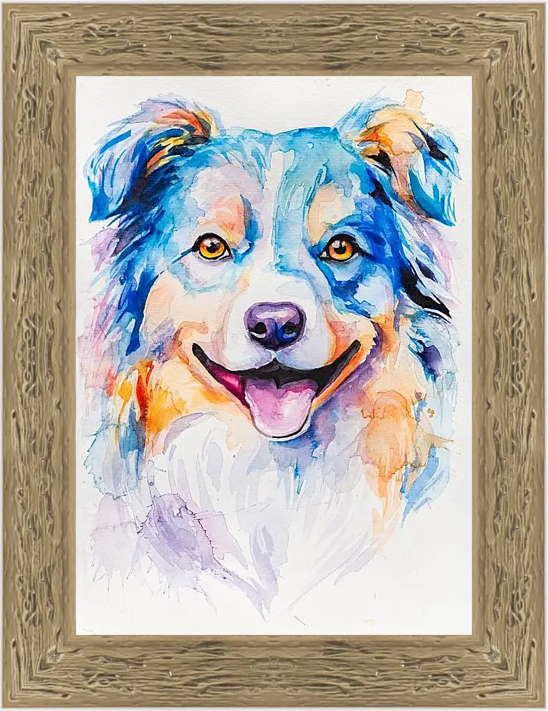 Картина в раме - Australian Shepherd. Mari Dein
