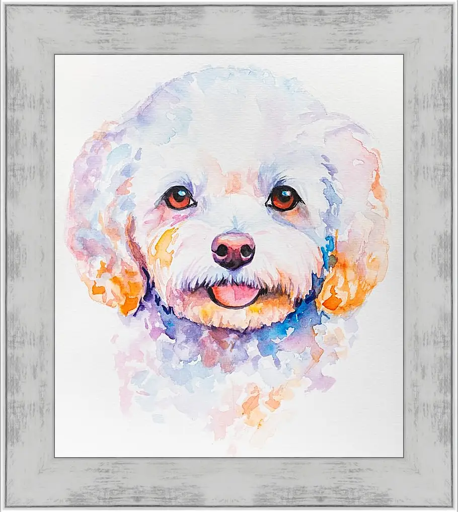 Картина в раме - Bichon Frise. Mari Dein