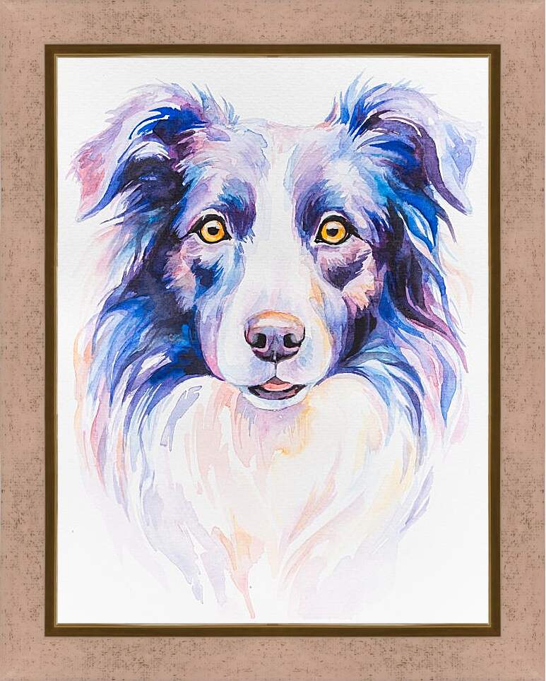 Картина в раме - Border Collie. Mari Dein