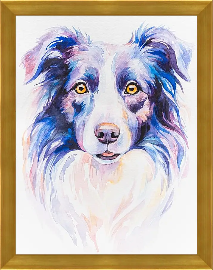 Картина в раме - Border Collie. Mari Dein