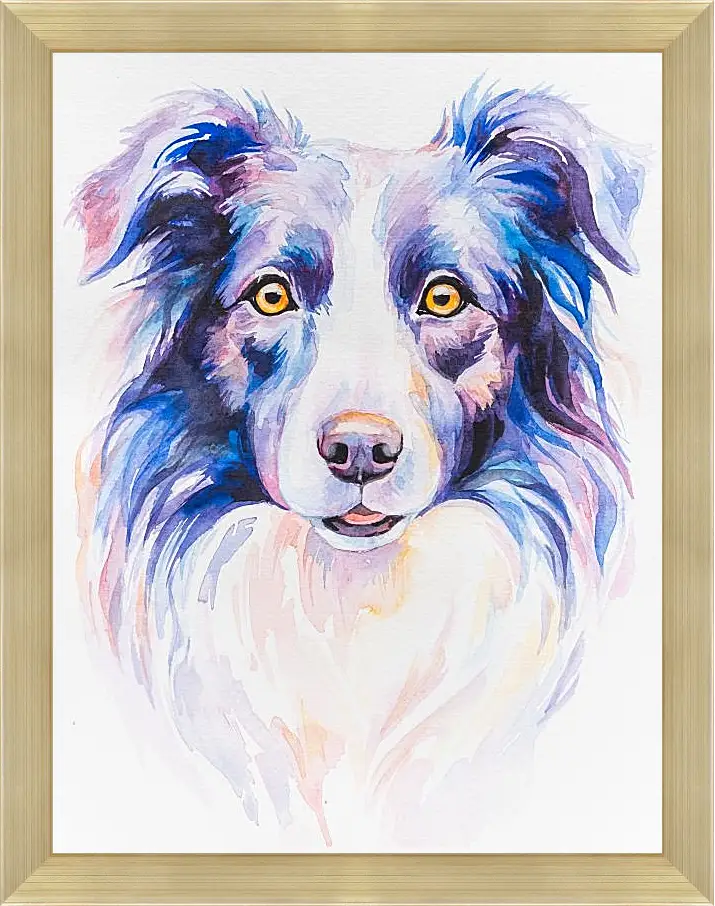 Картина в раме - Border Collie. Mari Dein