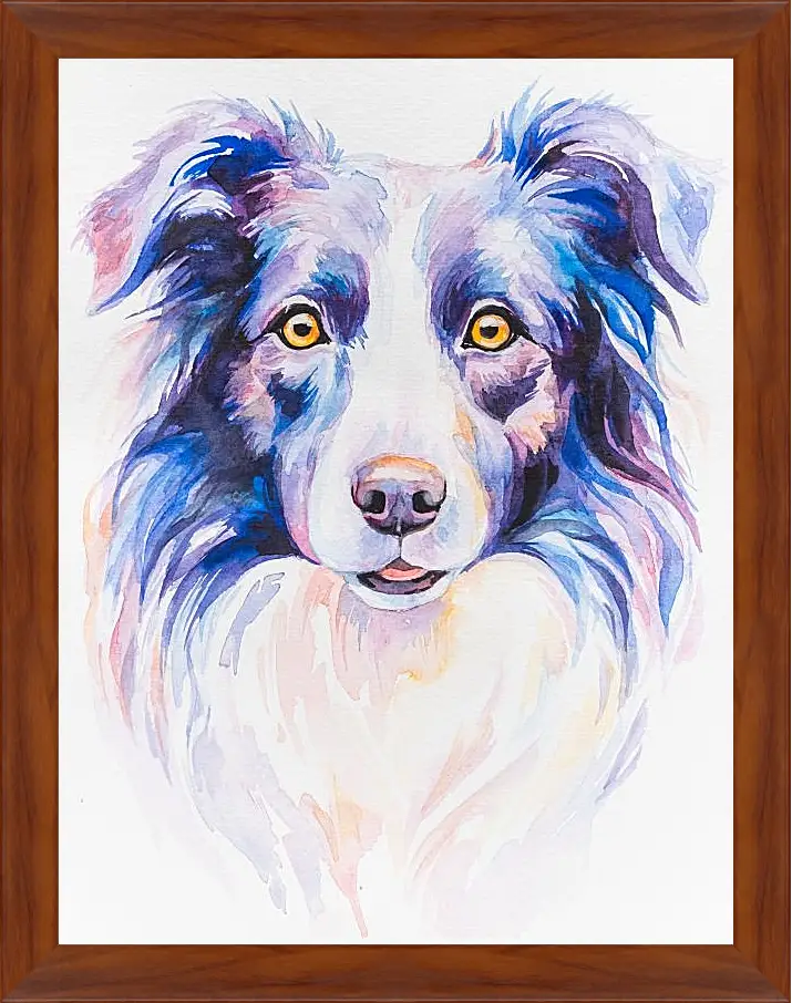 Картина в раме - Border Collie. Mari Dein