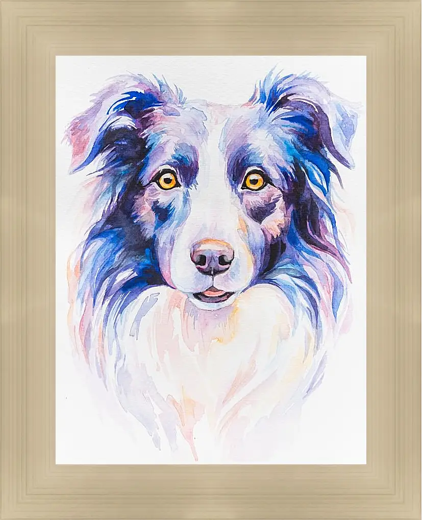 Картина в раме - Border Collie. Mari Dein