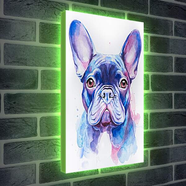 Лайтбокс световая панель - French Bulldog. Mari Dein