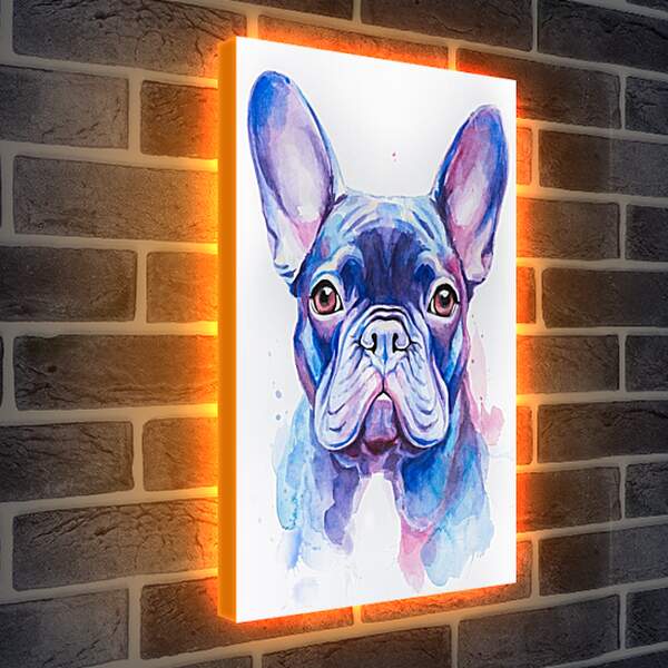Лайтбокс световая панель - French Bulldog. Mari Dein