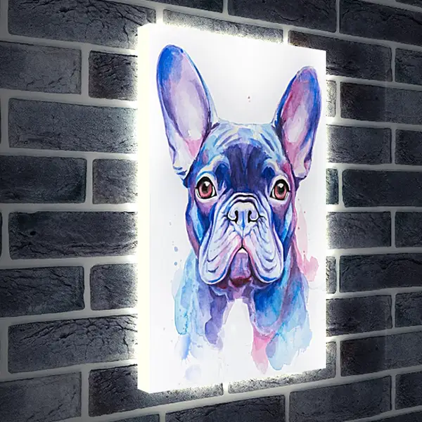 Лайтбокс световая панель - French Bulldog. Mari Dein