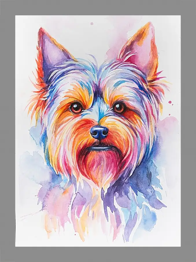 Картина в раме - Yorkshire Terrier. Mari Dein