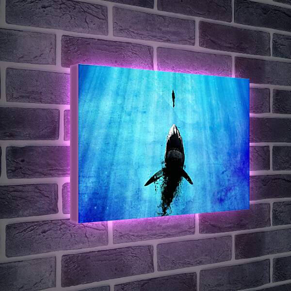 Лайтбокс световая панель - Акула и девушка