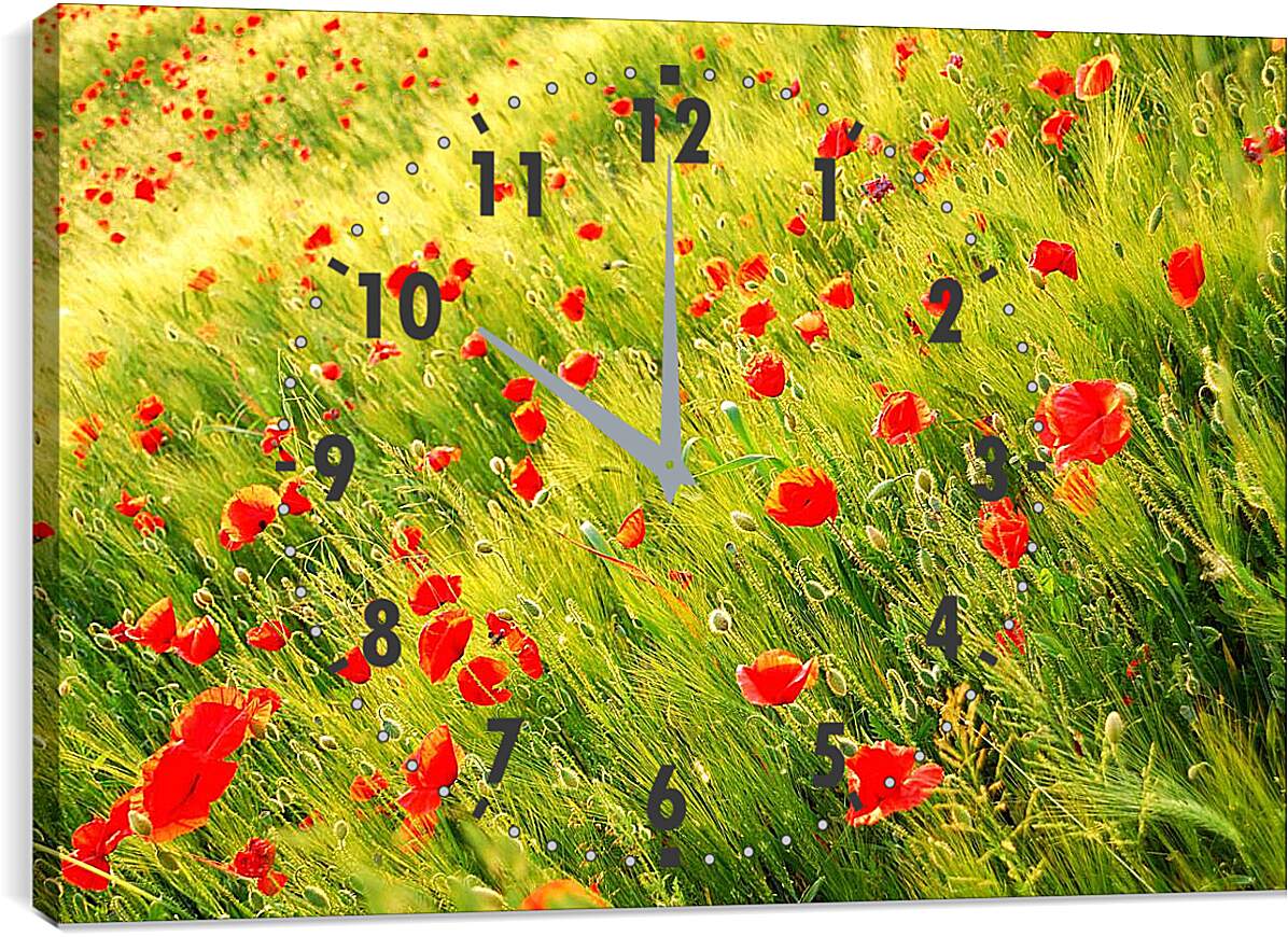 Часы картина - Маки в поле