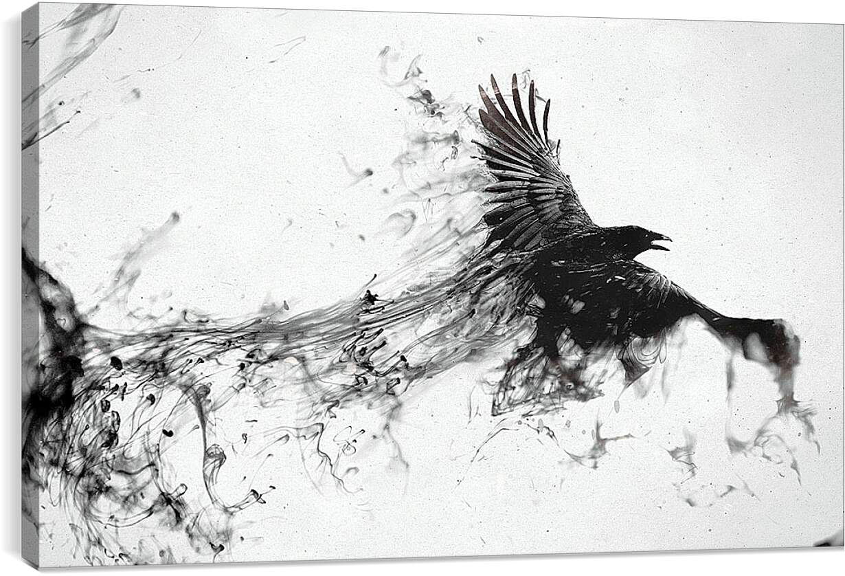 Белый ворон на черном фоне рисунок