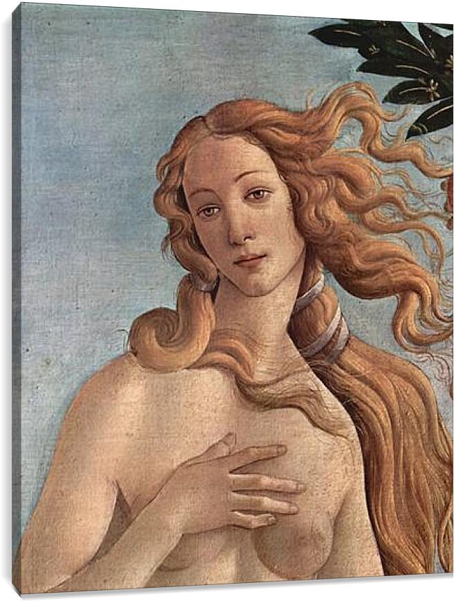 Постер и плакат - Birth of  the Venus (detail) Сандро Боттичелли