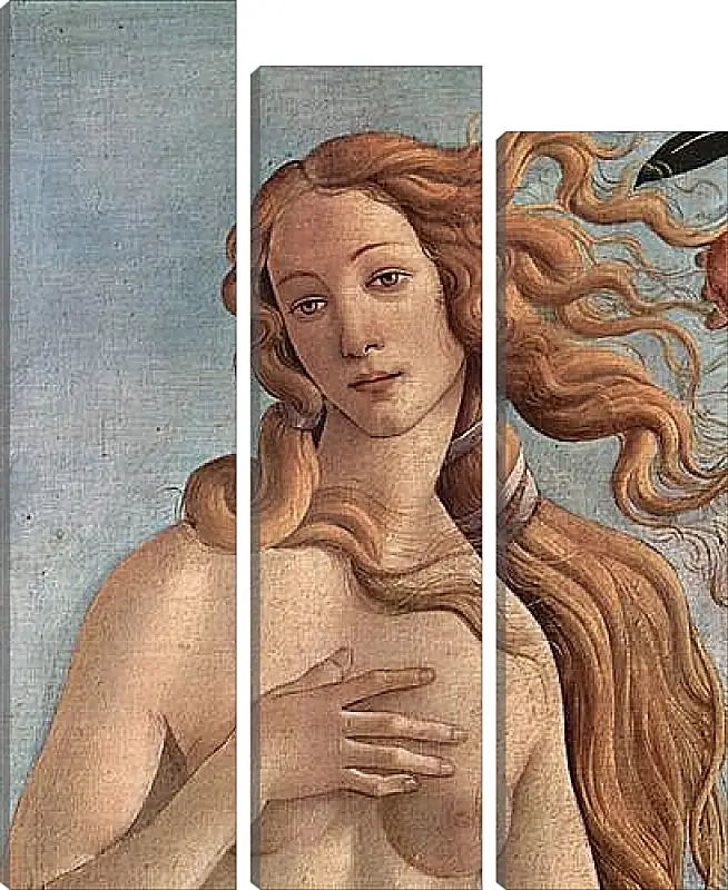 Модульная картина - Birth of  the Venus (detail) Сандро Боттичелли