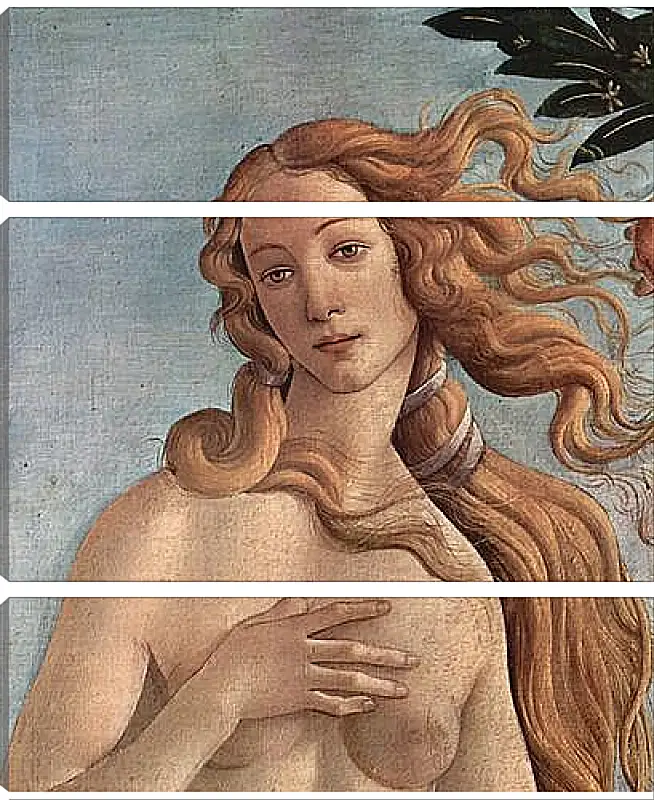 Модульная картина - Birth of  the Venus (detail) Сандро Боттичелли