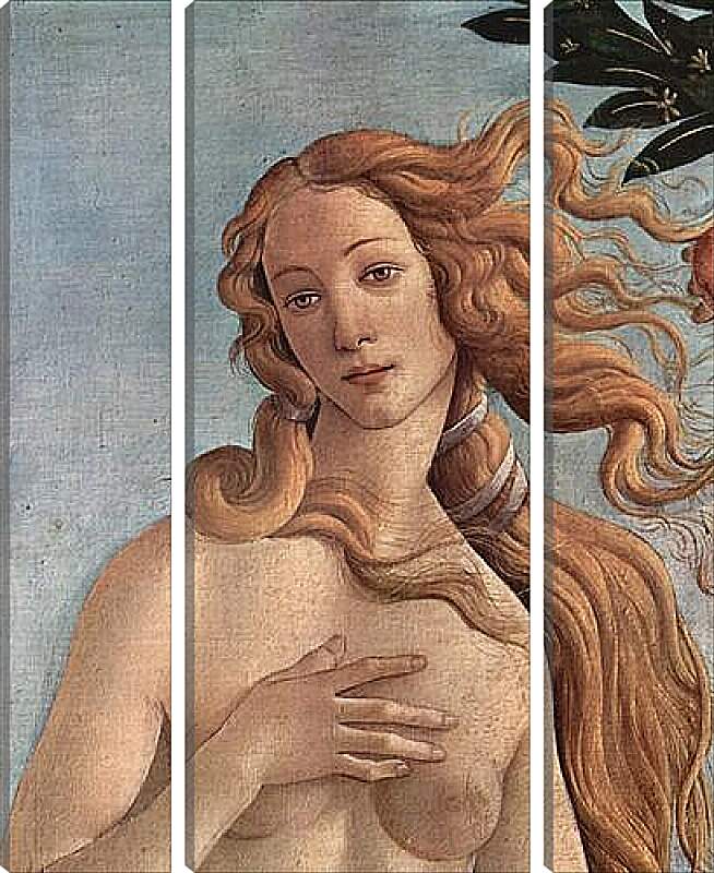Модульная картина - Birth of  the Venus (detail) Сандро Боттичелли