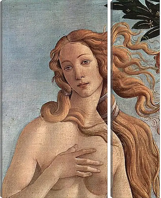 Модульная картина - Birth of  the Venus (detail) Сандро Боттичелли