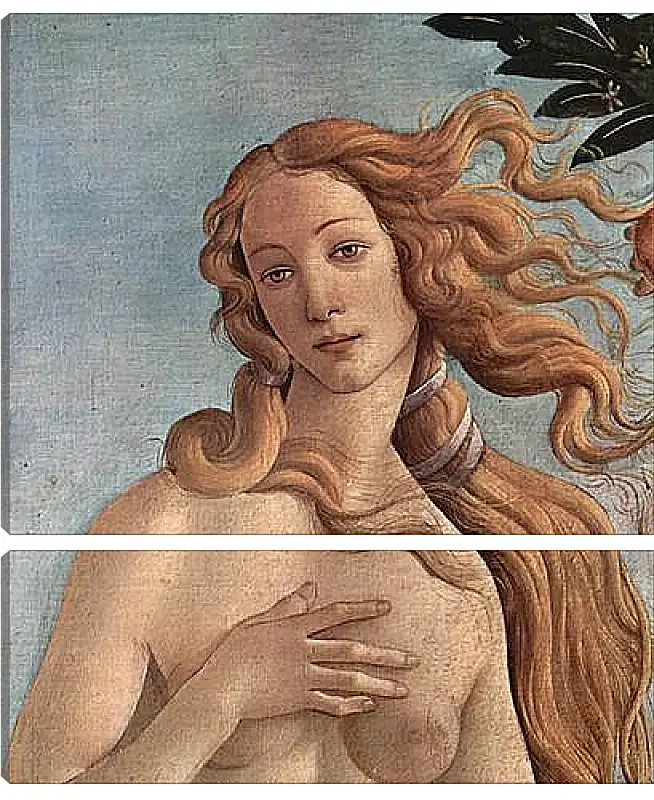 Модульная картина - Birth of  the Venus (detail) Сандро Боттичелли