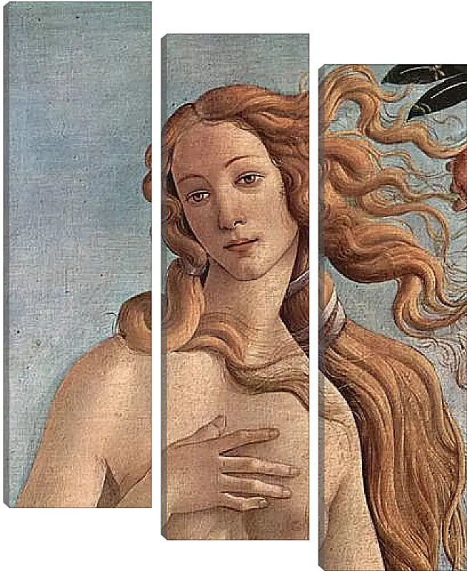 Модульная картина - Birth of  the Venus (detail) Сандро Боттичелли