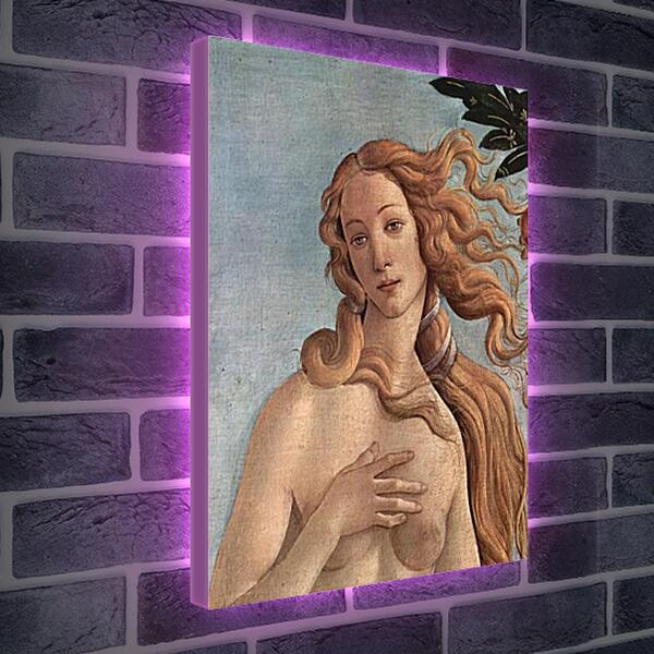 Лайтбокс световая панель - Birth of  the Venus (detail) Сандро Боттичелли