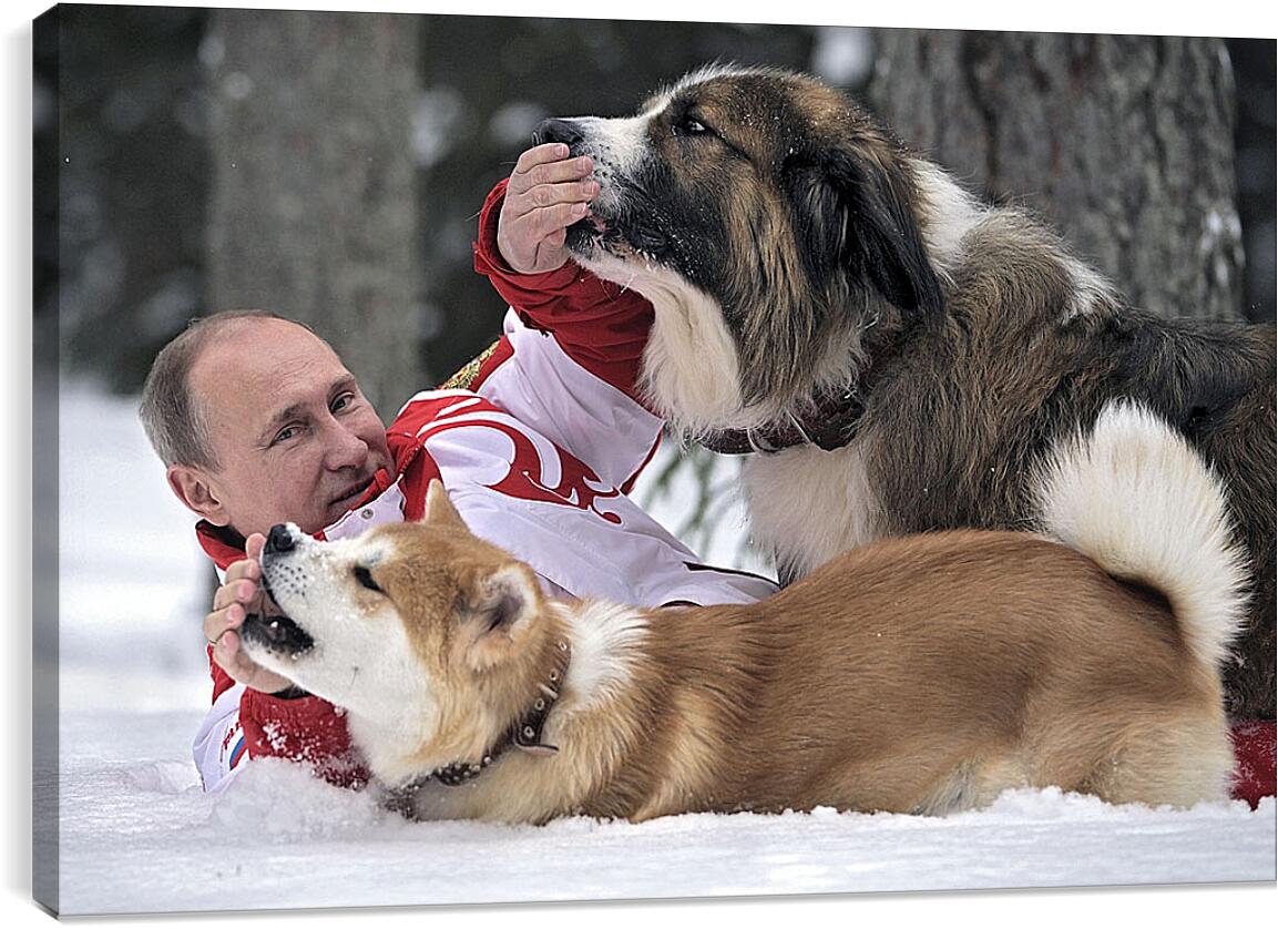 Постер и плакат - Владимир Владимирович Путин с собаками
