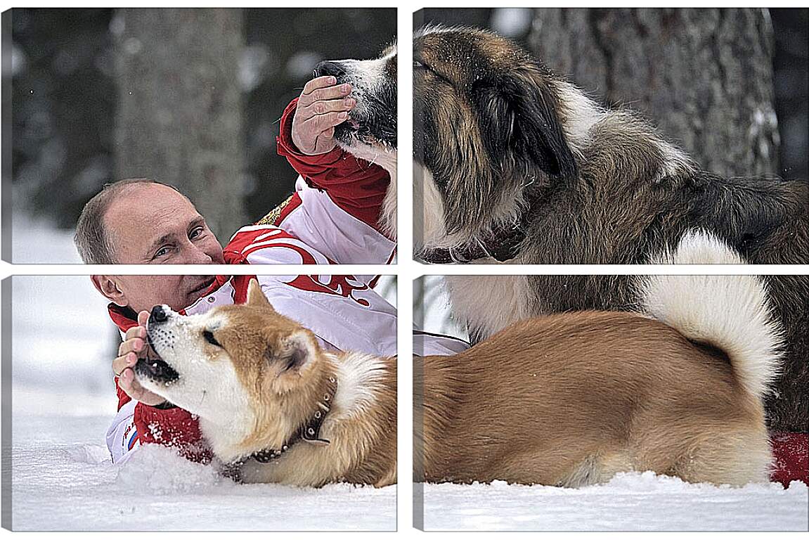 Модульная картина - Владимир Владимирович Путин с собаками