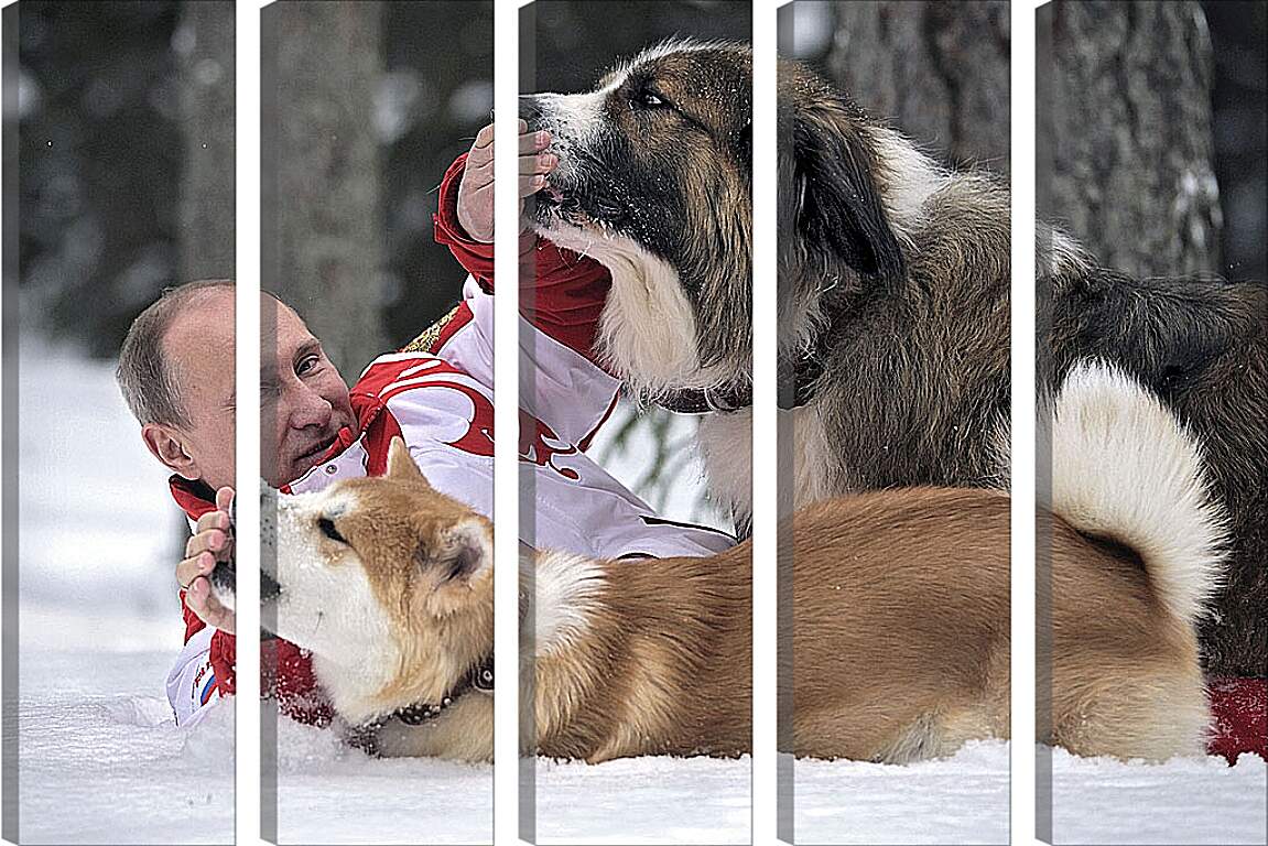 Модульная картина - Владимир Владимирович Путин с собаками