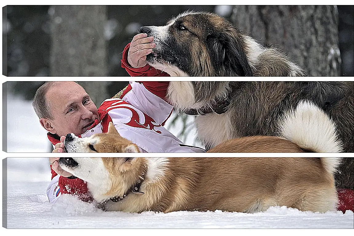 Модульная картина - Владимир Владимирович Путин с собаками