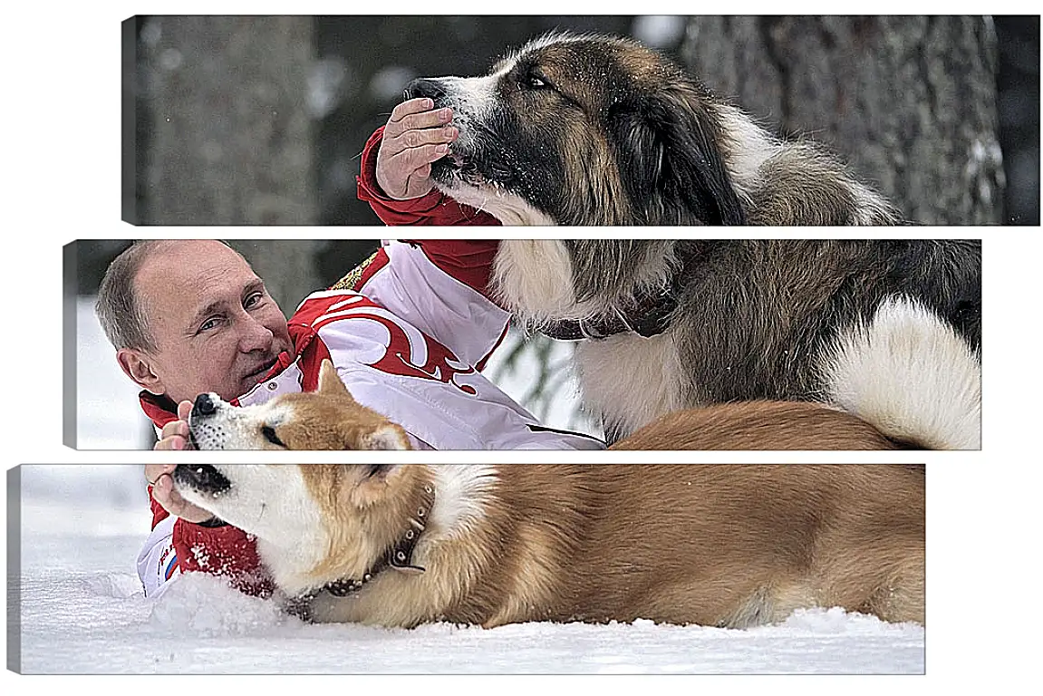 Модульная картина - Владимир Владимирович Путин с собаками