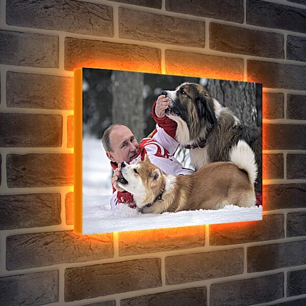 Лайтбокс световая панель - Владимир Владимирович Путин с собаками
