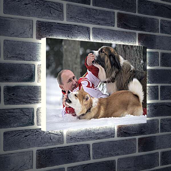 Лайтбокс световая панель - Владимир Владимирович Путин с собаками