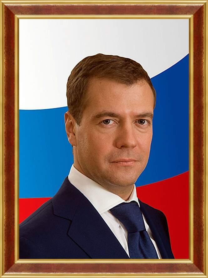Картина в раме - Дмитрий Анатольевич Медведев