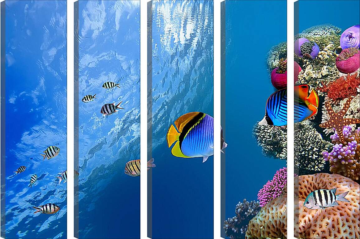 Модульная картина - Рыбки у рифа