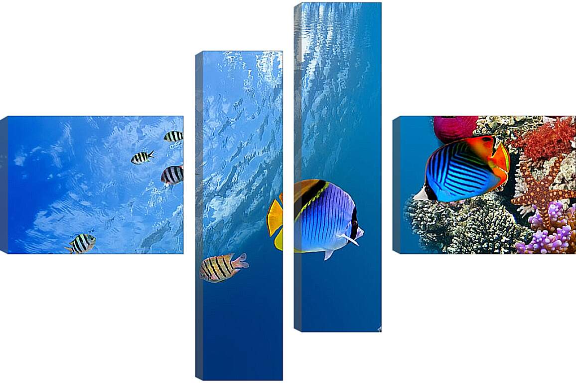 Модульная картина - Рыбки у рифа