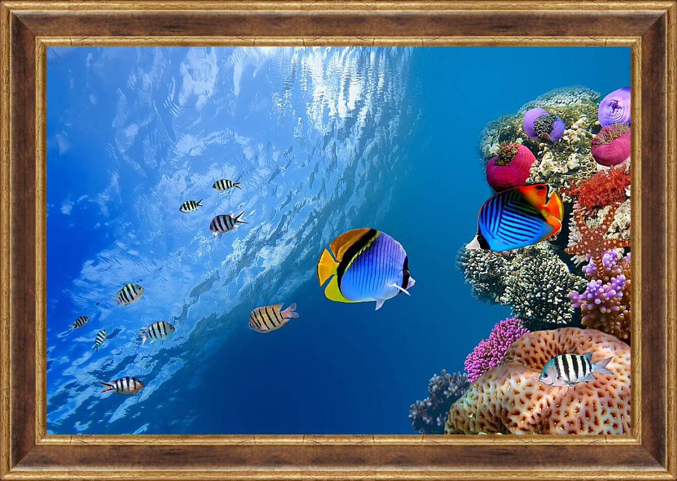 Картина в раме - Рыбки у рифа