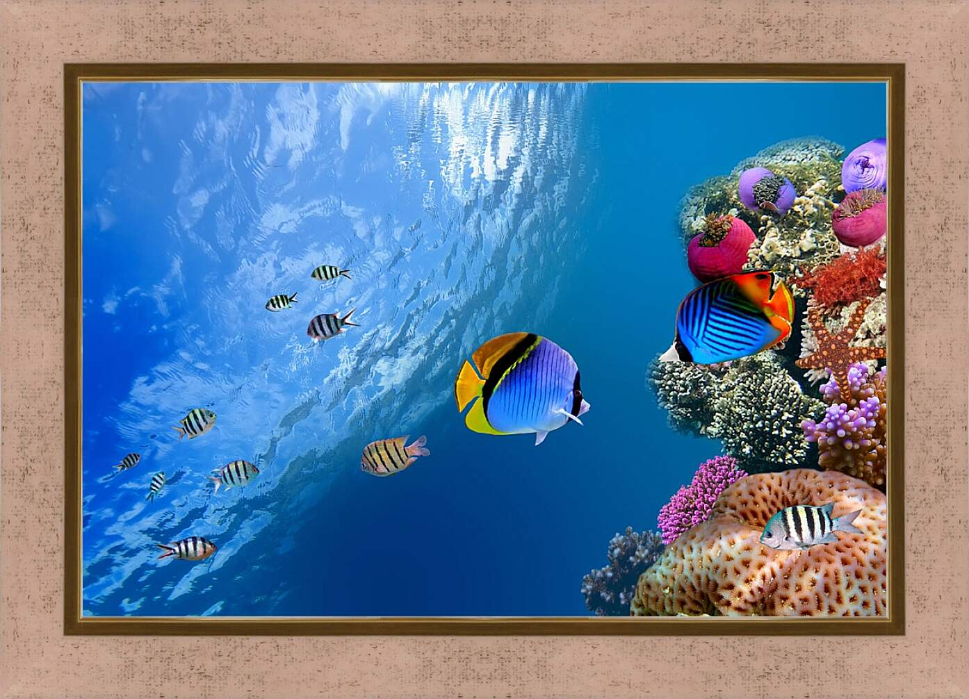 Картина в раме - Рыбки у рифа