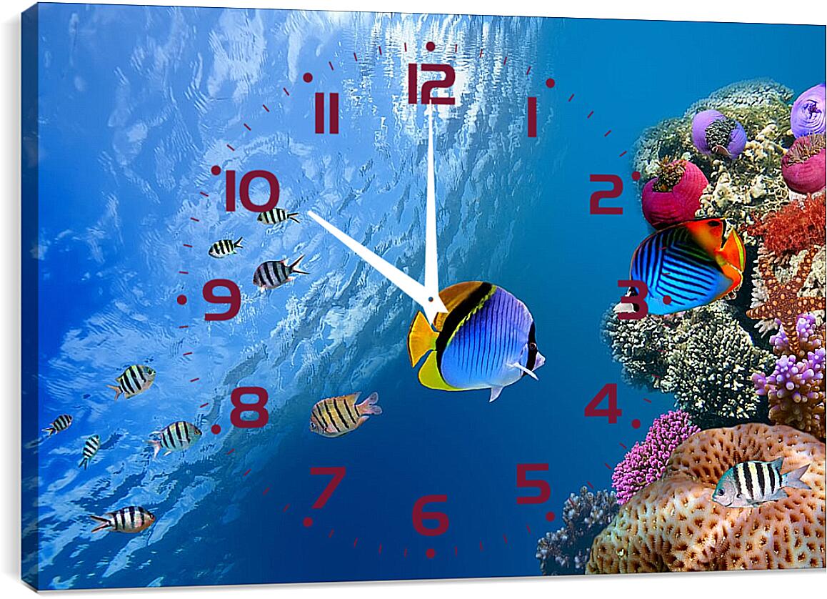 Часы картина - Рыбки у рифа