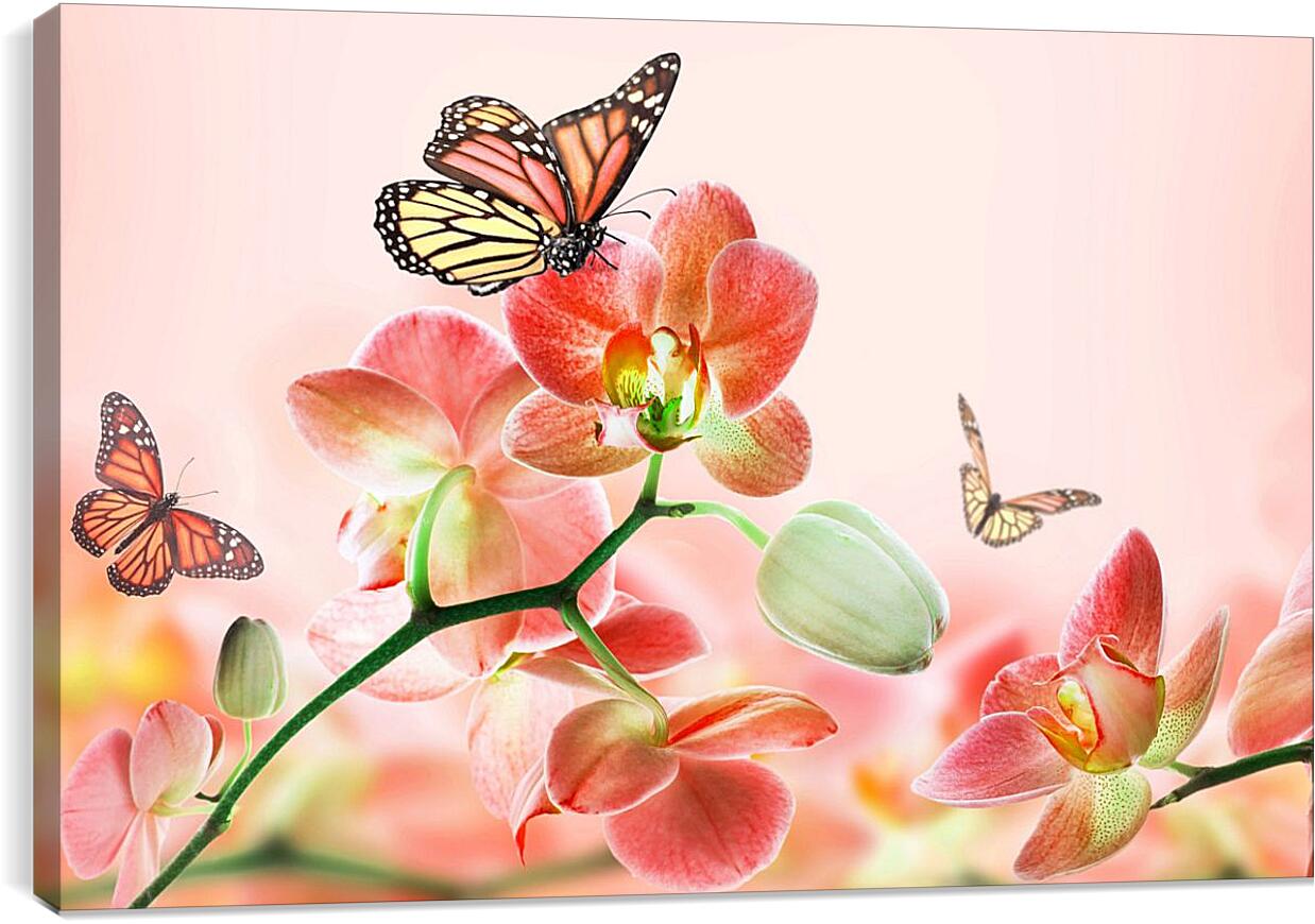 Постер и плакат - Орхидеи и бабочки