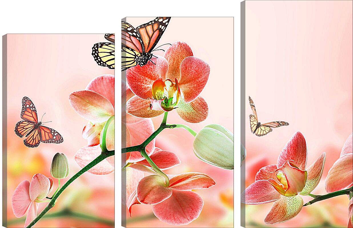 Модульная картина - Орхидеи и бабочки