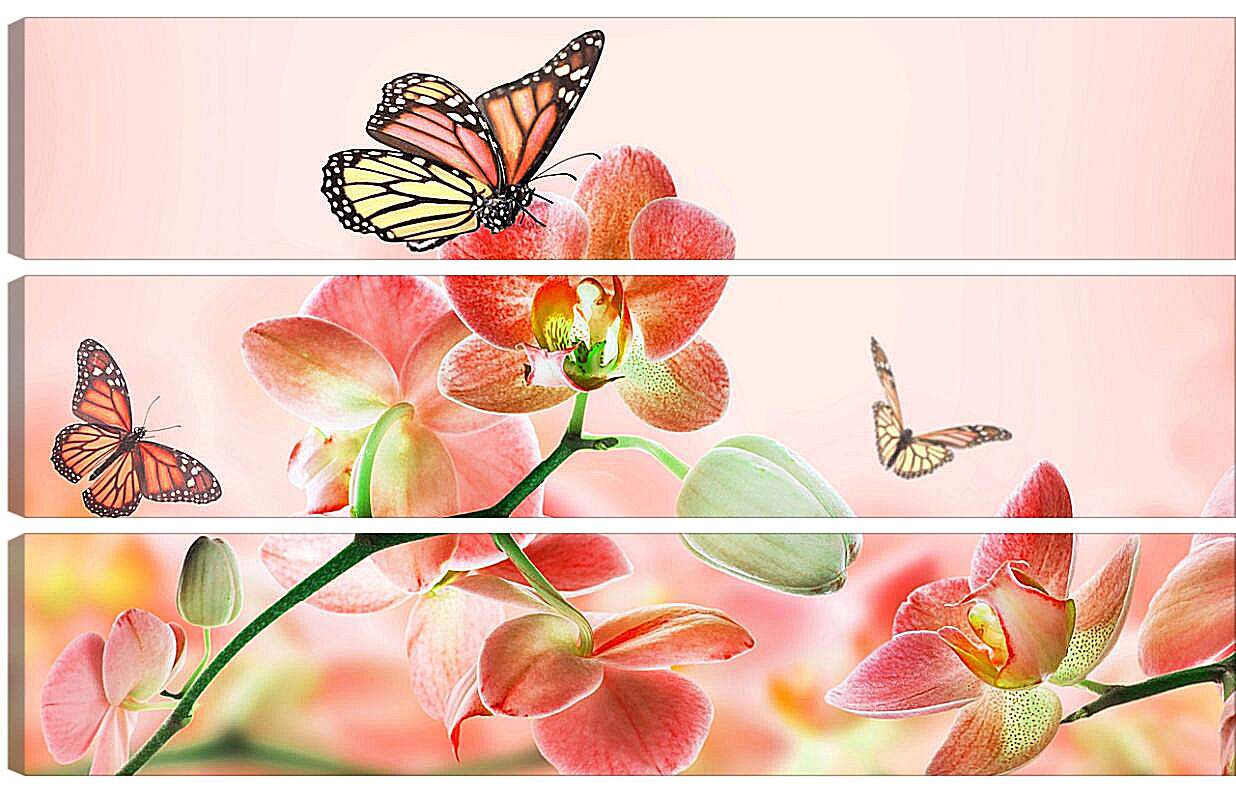Модульная картина - Орхидеи и бабочки