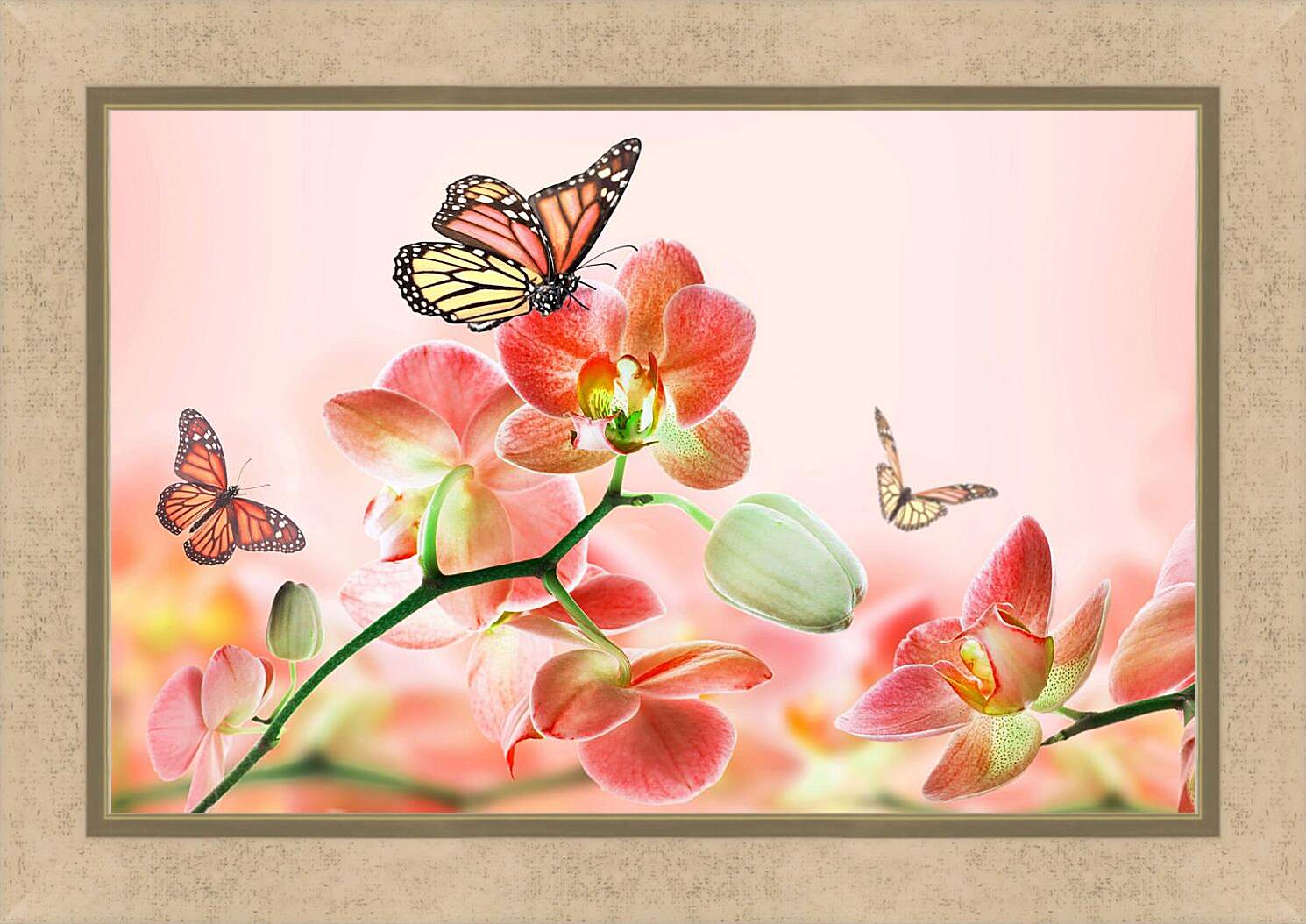 Картина в раме - Орхидеи и бабочки