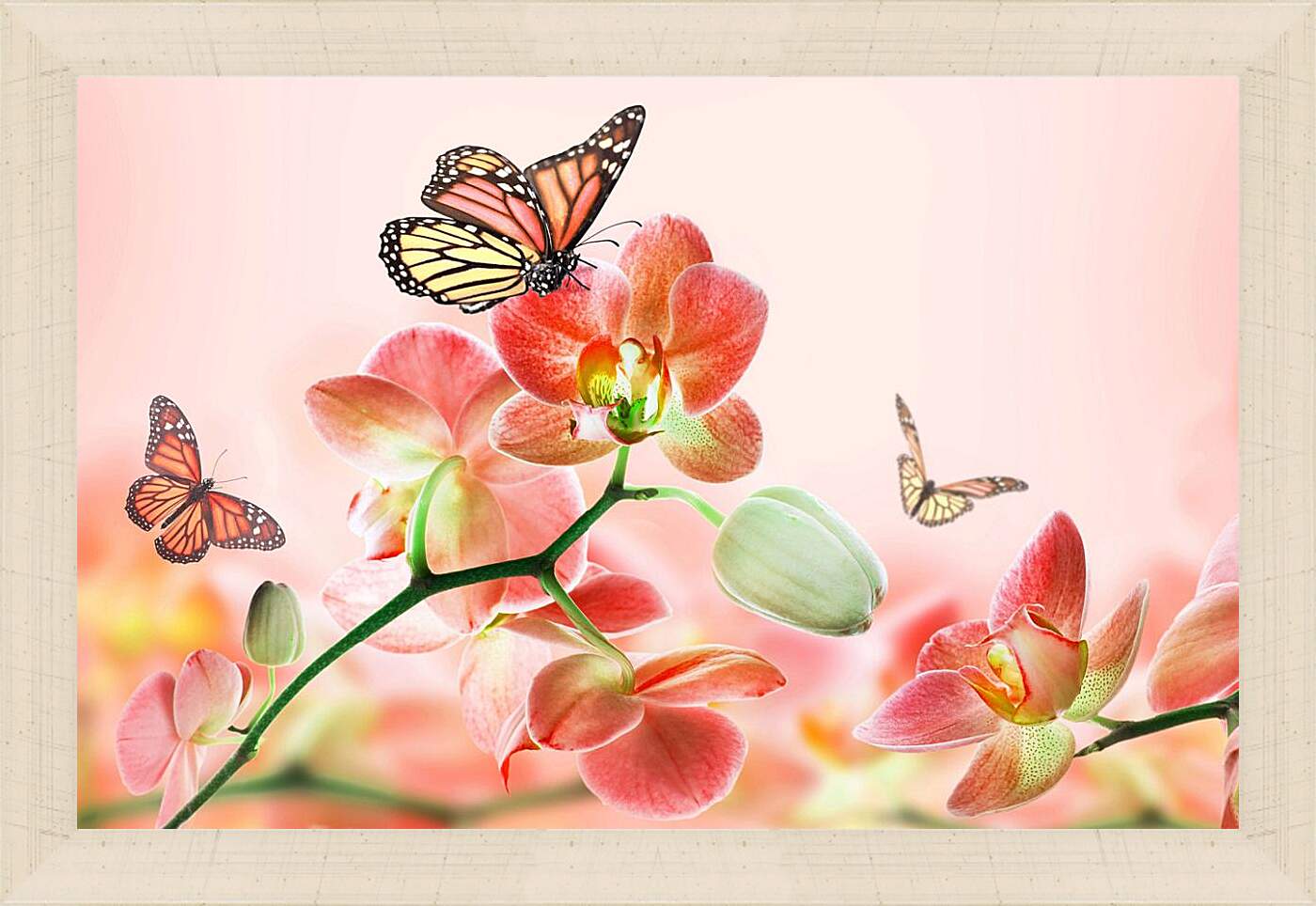 Картина в раме - Орхидеи и бабочки